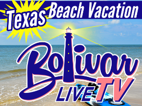 Thumbnail for Bolivar Live TV